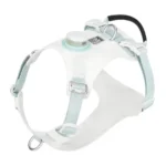 Harnais pour chien blanc lumineux avec tissu technique résistant