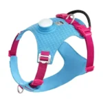Harnais bleu de sécurité avec éclairage LED intégré pour chien