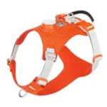 Harnais orange haute visibilité pour chien de sport ou de travail