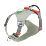 Harnais vert pour chien avec système de signalisation lumineuse nocturne