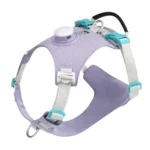 Harnais violet design et sécuritaire pour chien avec LED rechargeable