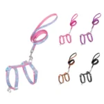 Présentation des 5 coloris disponibles pour l'ensemble harnais et laisse pour chat Truelove TLH3912
