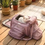 Chat confortablement installé dans son sac de transport extensible Truelove violet.
