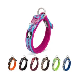 Collier pour chien Truelove Flex Plus - vue de face avec néoprène rembourré