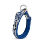 Collier pour chien True love - bleu