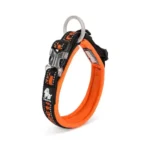 Collier pour chien True love - orange