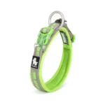 Collier pour chien True love - vert