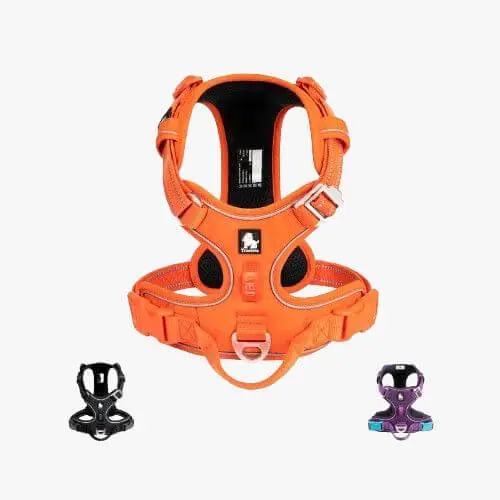 Harnais pour chien qui tire truelove country plus cordura