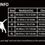 Guide des mesures pour choisir la taille du harnais de sécurité voiture pour chien