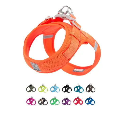 Harnais pour chien EDISON Truelove : Confort, Légèreté et Sécurité Harnais pour chien Truelove EDISON