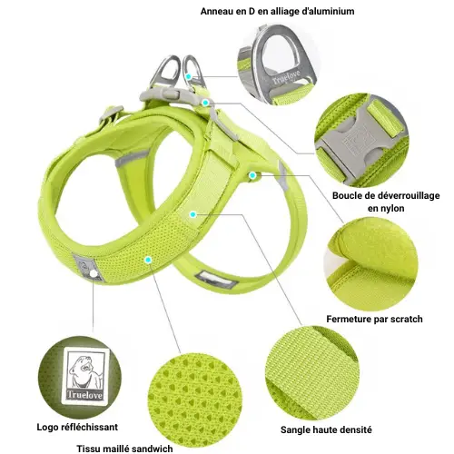 Harnais pour chien EDISON Truelove : Confort, Légèreté et Sécurité Harnais Truelove EDISON