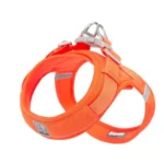 Harnais pour chien Truelove EDISON - orange