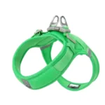 Harnais pour chien Truelove EDISON - vert