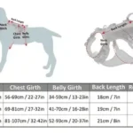 Tableau des mesures pour choisir la taille idéale du harnais Manley selon la morphologie du chien