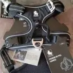 Image #1 de Anaëlle