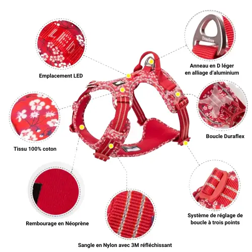 Infographie détaillant les composants du harnais ergonomique fleuri pour chien : tissu 100% coton, boucle Duraflex, anneau en aluminium, coutures réfléchissantes 3M et rembourrage néoprène.