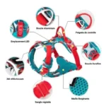 Infographie détaillant les points forts du harnais Truelove : boucle aluminium, poignée de contrôle, emplacement LED, boucle Duraflex, 3M réfléchissant