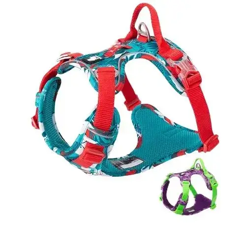 Présentation de face des deux coloris du harnais anti-traction Truelove : motif tropical bleu/rouge et tropical violet/vert