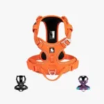Harnais Anti-Traction Robuste pour Chien
