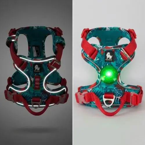 Harnais pour chien Truelove tropical brillant dans le noir grâce aux coutures réfléchissantes 3M et équipé d'une lampe LED verte