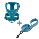 Ensemble Harnais Country Plus + Laisse Walk - bleu