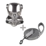 Ensemble Harnais Country Plus + Laisse Walk - gris