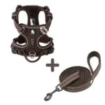 Ensemble Harnais Country Plus + Laisse Walk - marron
