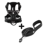 Ensemble Harnais Country Plus + Laisse Walk - noir