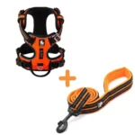 Ensemble Harnais Country Plus + Laisse Walk - orange