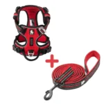 Ensemble Harnais Country Plus + Laisse Walk - rouge