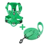 Ensemble Harnais Country Plus + Laisse Walk - vert