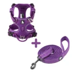 Ensemble Harnais Country Plus + Laisse Walk - violet