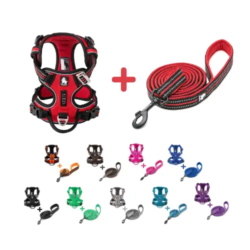 Ensemble harnais + laisse pour chien : Complet & Pratique Truelove Country Plus Walk Ensemble harnais Country Plus + laisse Walk pour chien - Vue de face