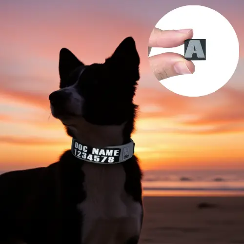 Patch Velcro Réfléchissants TrueLove : Sécurité et Personnalisation pour votre Chien Patch velcro harnais chien réfléchissant TrueLove argenté