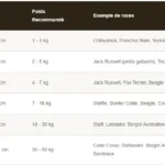Tableau du guide des tailles du harnais anti-traction léger Colorado Plus allant du XXS au XL, incluant les mensurations du cou, du poitrail et le poids recommandé.