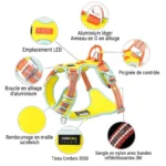 Infographie des points forts du harnais Truelove VividFit : ergonomie, matériaux premium et confort pour chien.