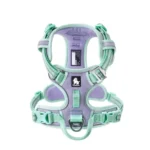 Harnais pour chien Truelove VividFit coloris Lilas Pastel, design moderne et doux.