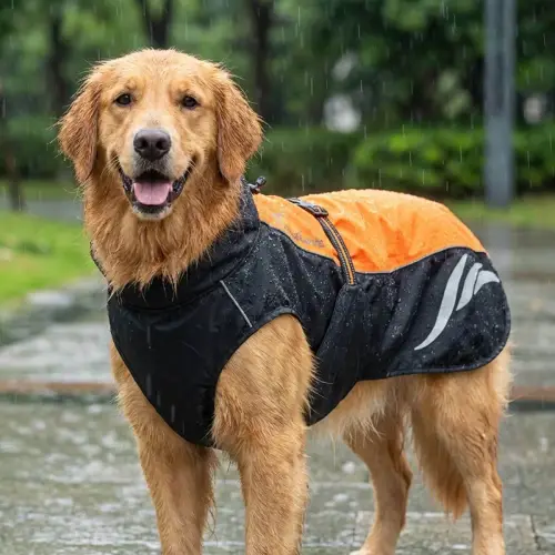 Chien portant un manteau de pluie orange Truelove sous une averse, gouttes d'eau perlant sur le tissu imperméable