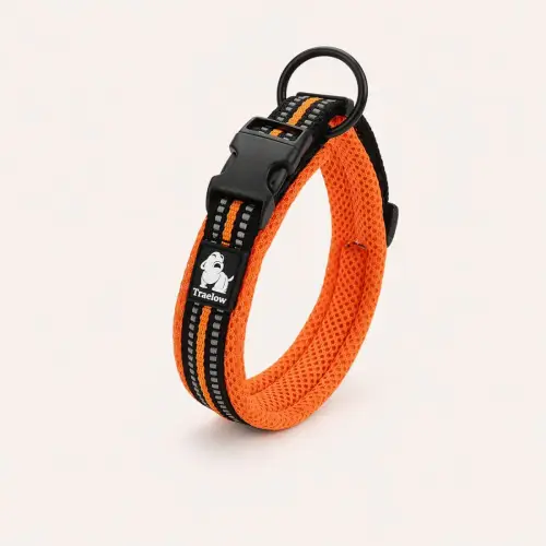 Collier pour chien Truelove en orange