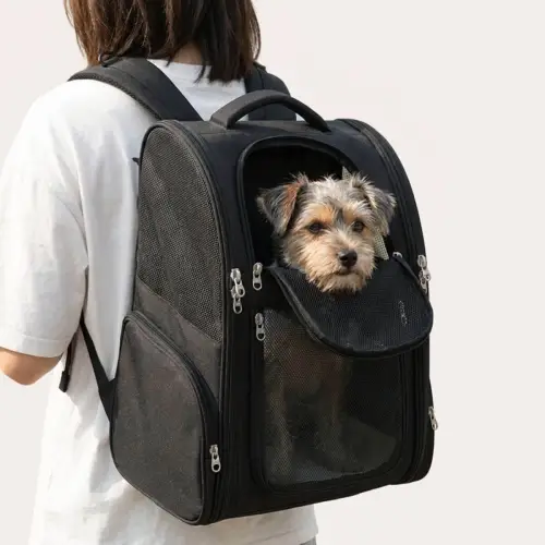 Yorkshire dans un sac de transport noir