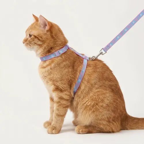 Harnais pour chat Truelove
