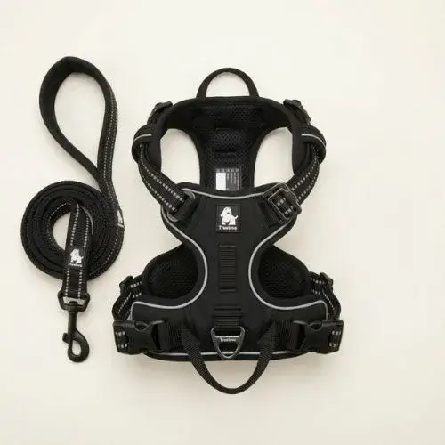 Sélection des meilleurs équipements Truelove pour chien : harnais Country Plus, laisse Walk Plus et collier Mesh respirant