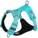 Harnais léger et anti-traction pour chien Colorado Plus coloris bleu cyan.
