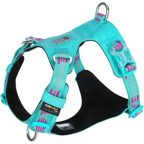 Harnais léger et anti-traction pour chien Colorado Plus coloris bleu cyan.
