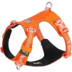 Harnais léger et anti-traction pour chien Colorado Plus coloris orange haute visibilité.