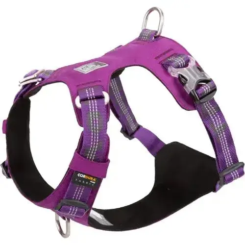 Harnais léger et anti-traction pour chien Colorado Plus coloris violet.