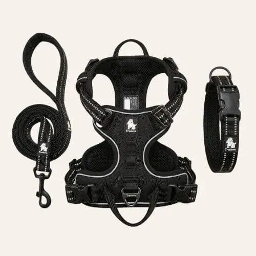 meilleurs-equipements-accessoires-chien-truelove Sélection des meilleurs équipements Truelove pour chien : harnais Country Plus, laisse Walk Plus et collier Mesh respirant