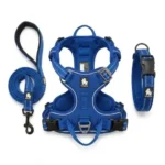 Ensemble complet d'accessoires pour chien Truelove de couleur bleu foncé, comprenant une laisse, un harnais anti-traction et un collier rembourré