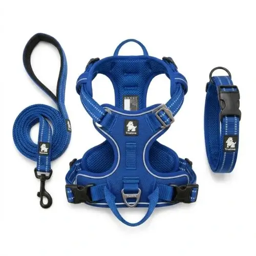 Bleu Royal