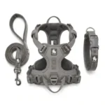 Ensemble complet d'accessoires pour chien Truelove de couleur grise, comprenant une laisse, un harnais anti-traction et un collier rembourré